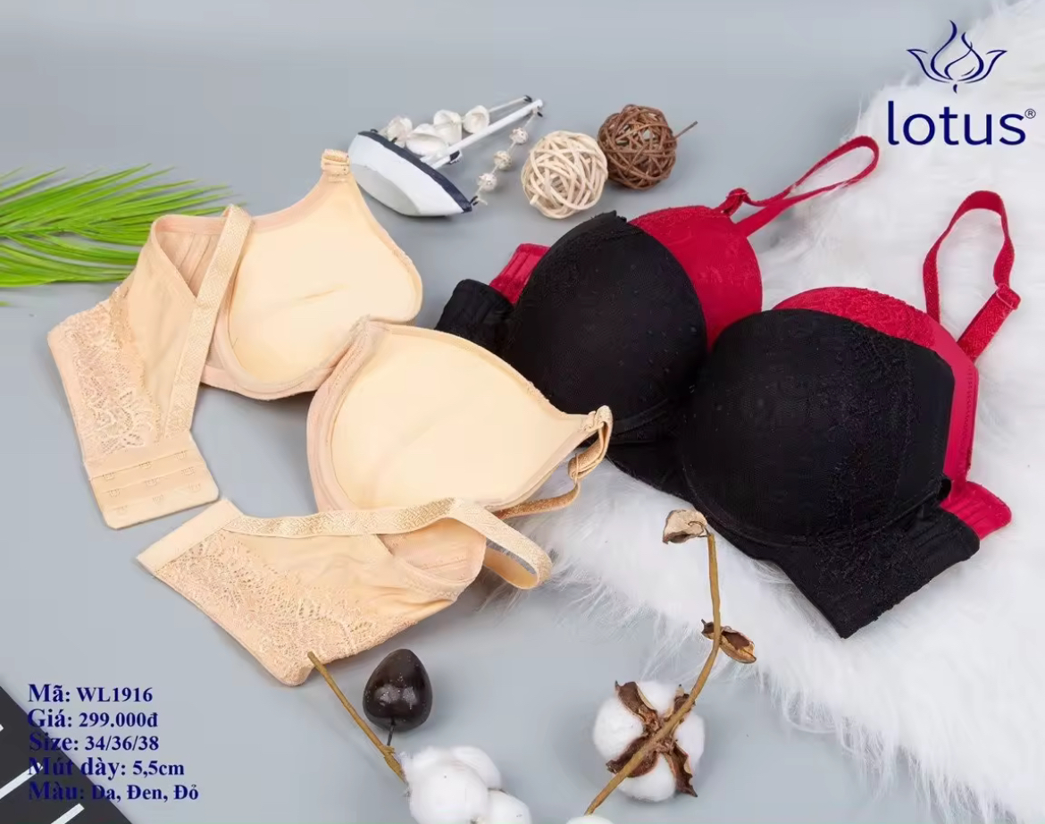 Áo Lót WL1916 Mút Dày 5cm Ren Hoa Đẩy Nâng Ngực Form Đẹp