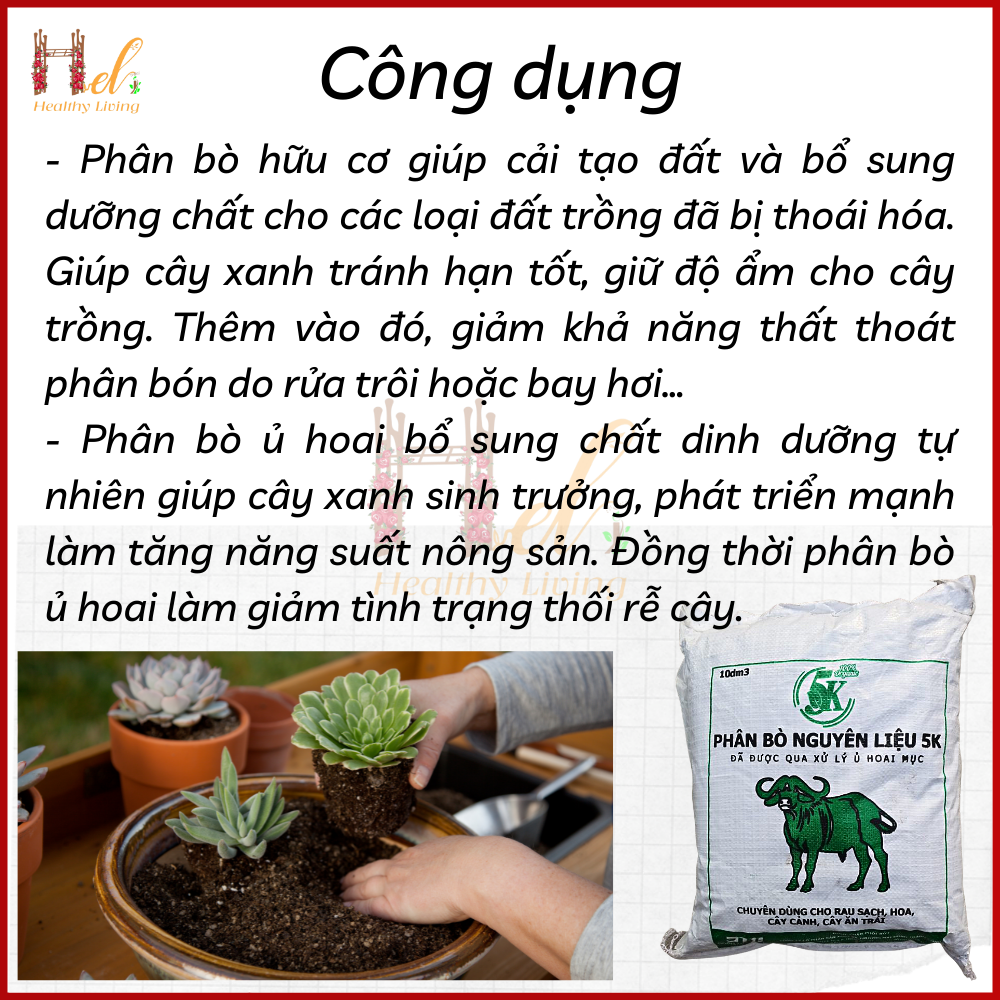 Phân Bò Hoai Mục 10dm3  Đã Qua Xử Lý Trồng Rau, Hoa Kiểng, Cây Kiểng, Cây Trong Nhà