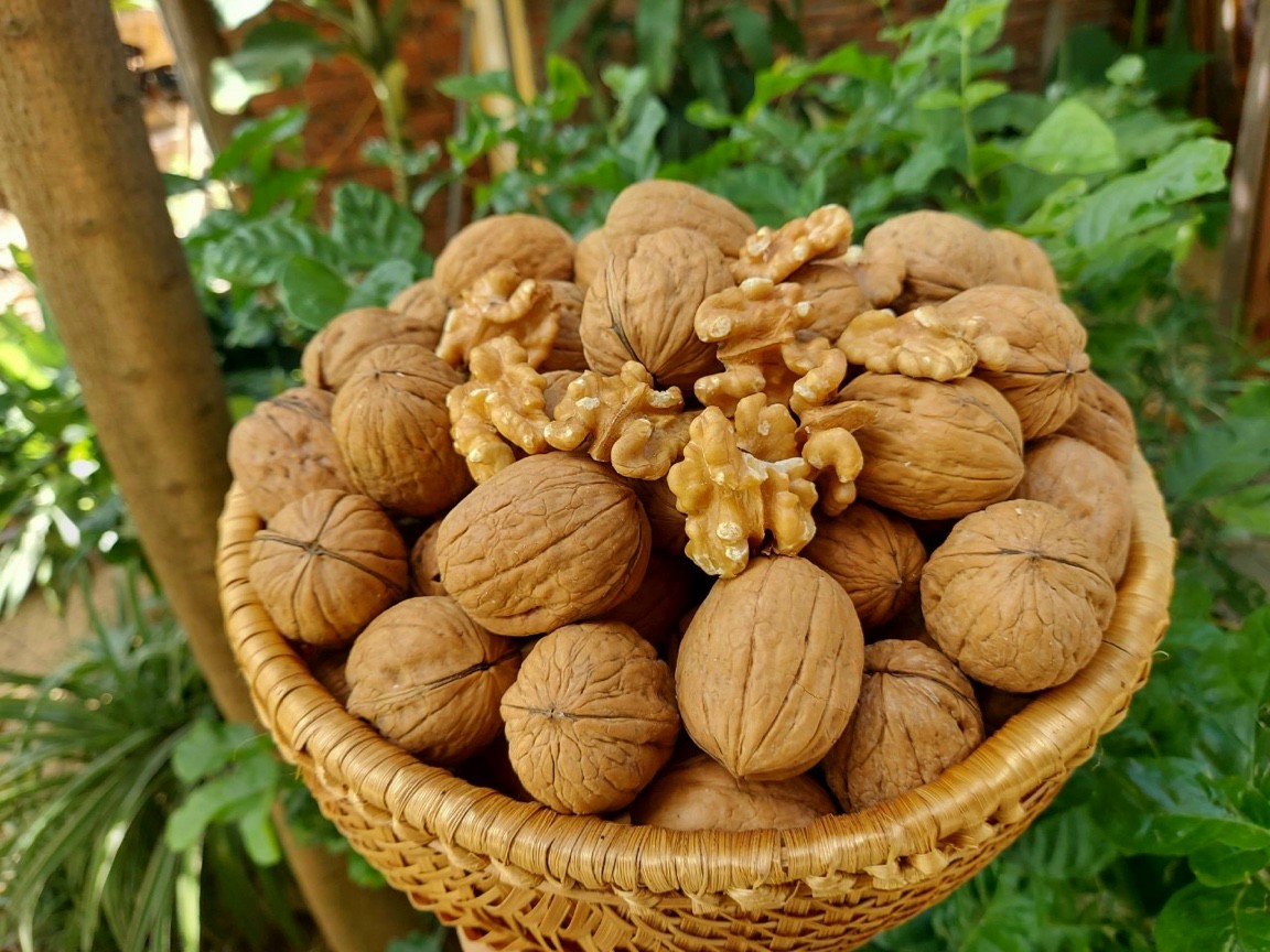 Quả óc chó Mỹ còn vỏ