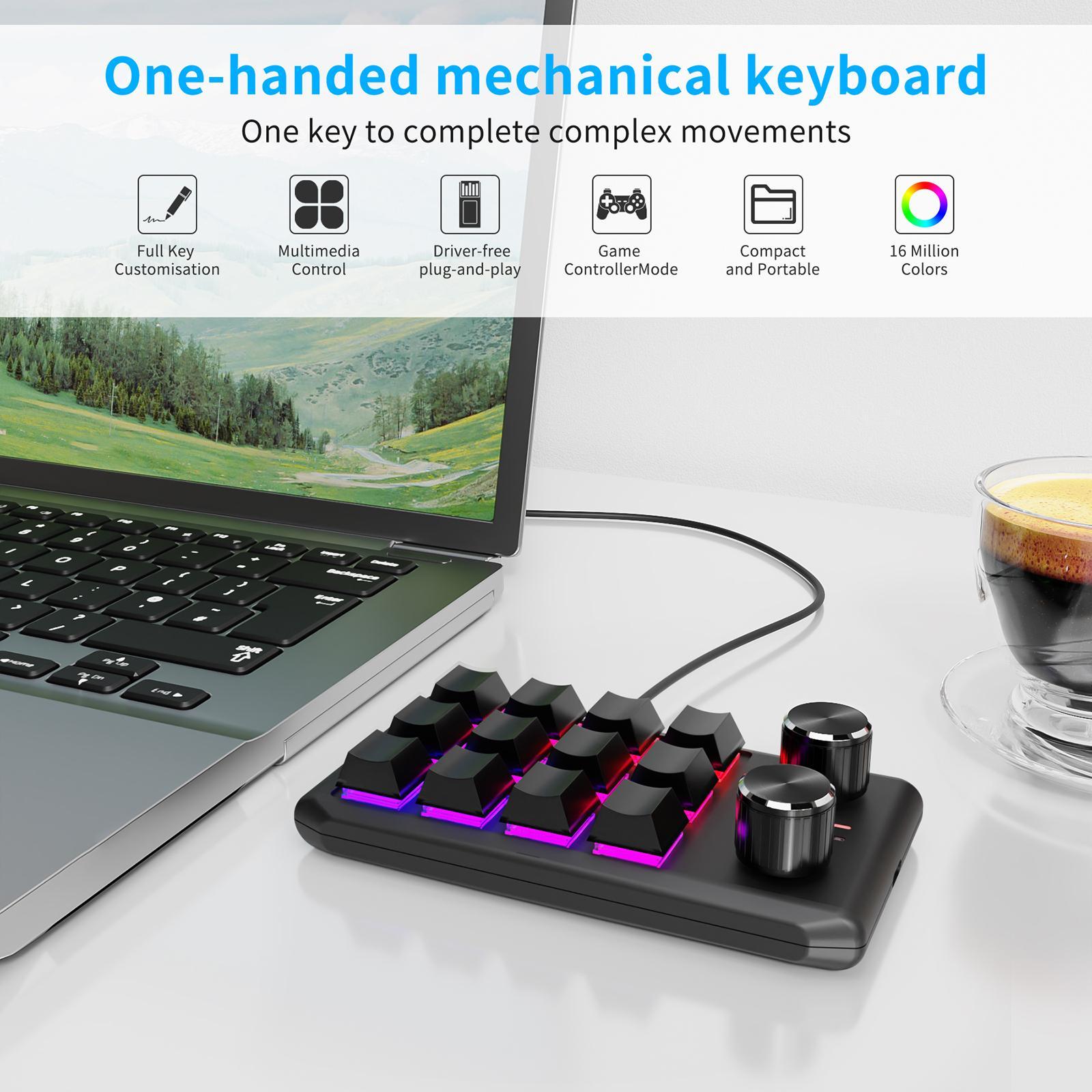 12 Keys Keyboard RGB Non Slip with USB Cable with 2 Knob Standard Keyboard Programming Keyboard Mini Keypad for Games Designers