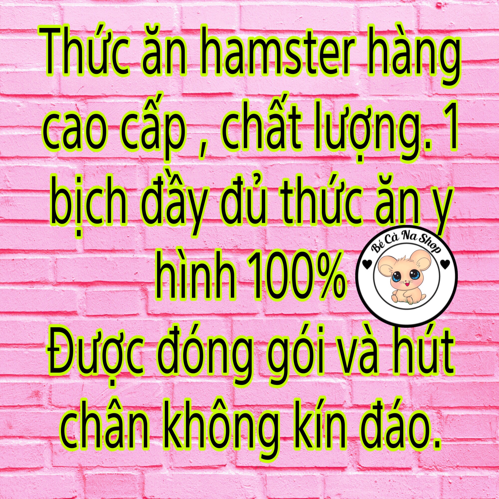 Thức ăn vip cao cấp, sang chảnh nhất cho hamster