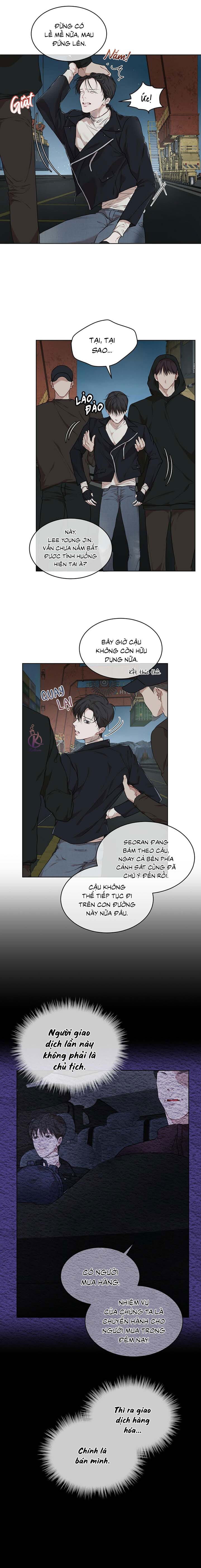 hình thái khởi sinh chapter 50 5