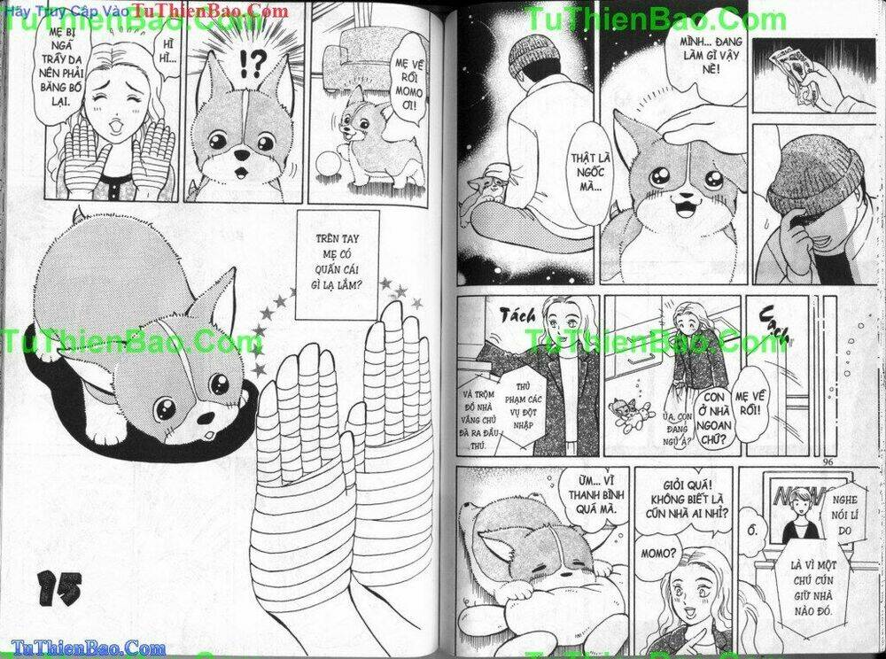 chó con mo mo chapter 4 49