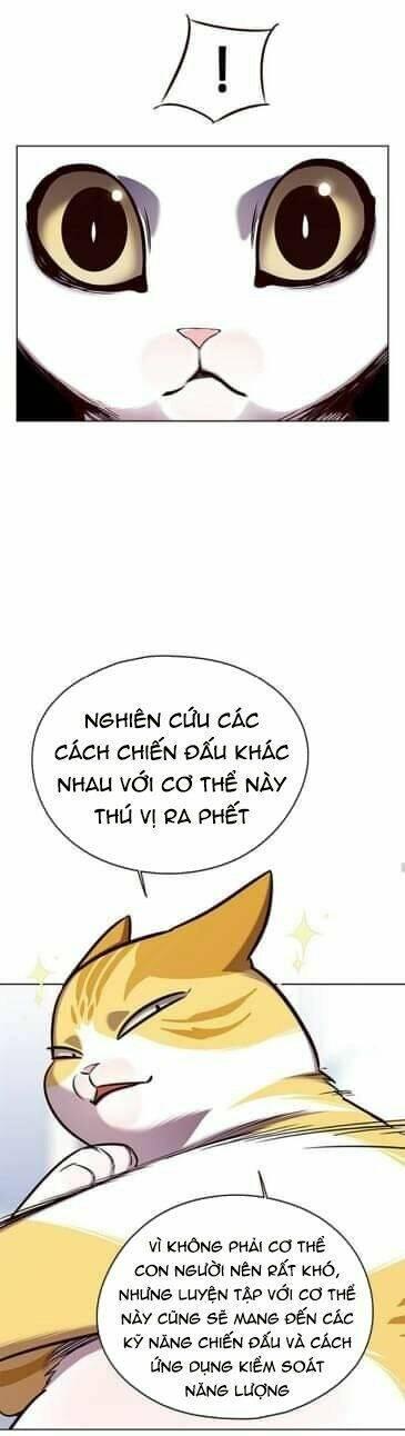 biến thân thành mèo chapter 144 18
