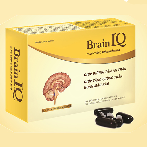 Combo 2 hộp Thực Phẩm Bảo Vệ Sức Khỏe Brain IQ - Tăng Cường Tuần Hoàn Não, Ngủ Ngon, Cải Thiện Trí Nhớ