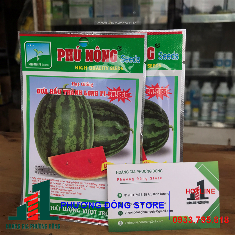Combo 5-10 gói hạt giống Dưa hấu Thành Long năng suất cao