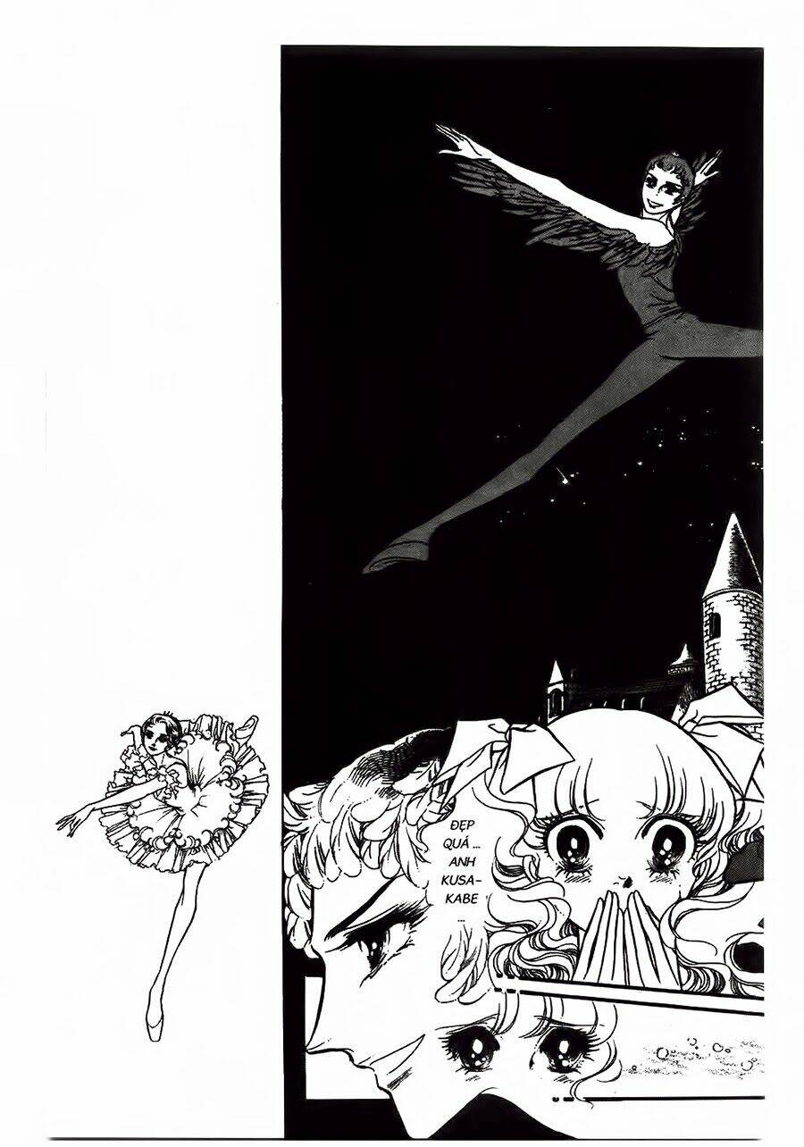 swan - vũ khúc thiên nga chapter 22 4