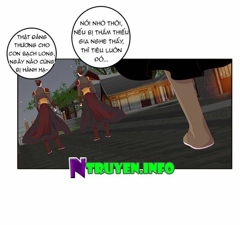 tướng quân mời ra trận chapter 95 4