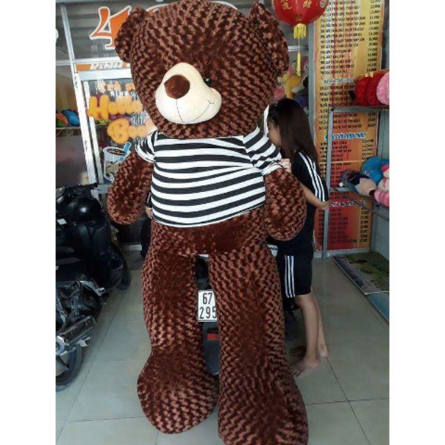 Gấu bông teddy khổ vải 2M cao 1m8