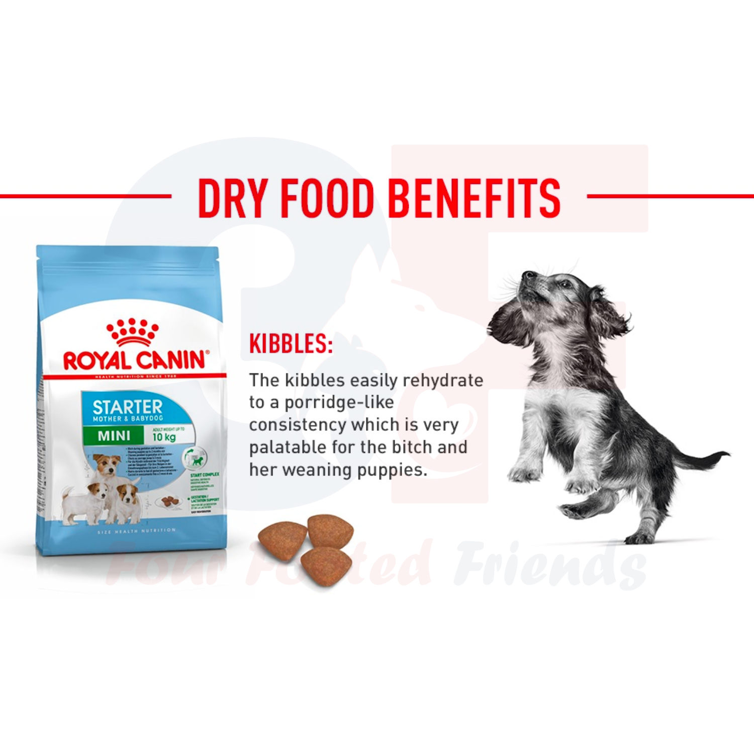 Thức Ăn Hạt Cho Chó Mẹ và Con Royal Canin Mini Starter Mother And Babydog - 1KG