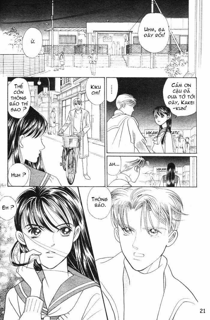 wild cats chapter 1 24