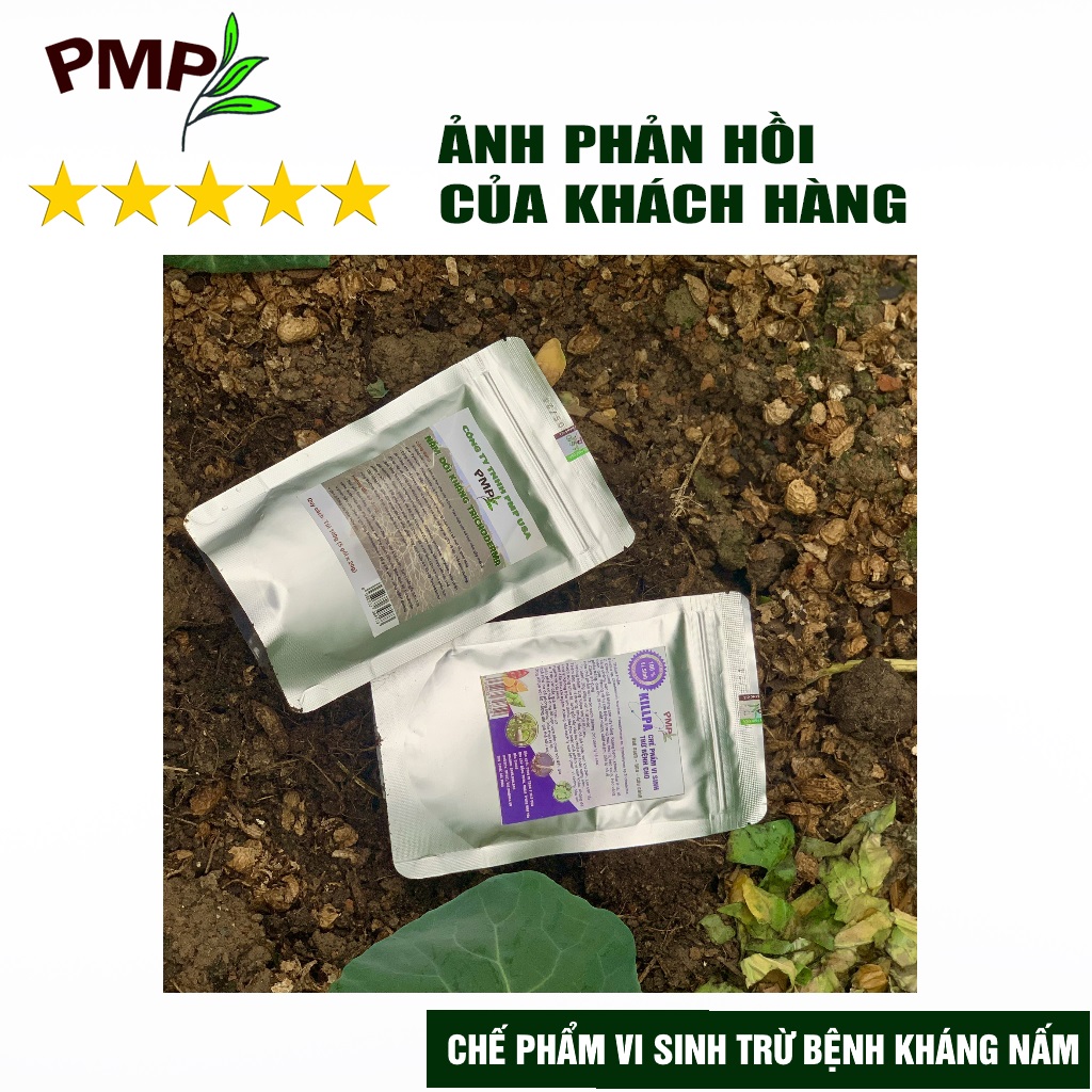 Nấm Trichoderma PMP Nấm Đối Kháng Phòng Thối Rễ, Ủ Phân Hữu Cơ Từ Rác Thải Hữu Cơ 100g