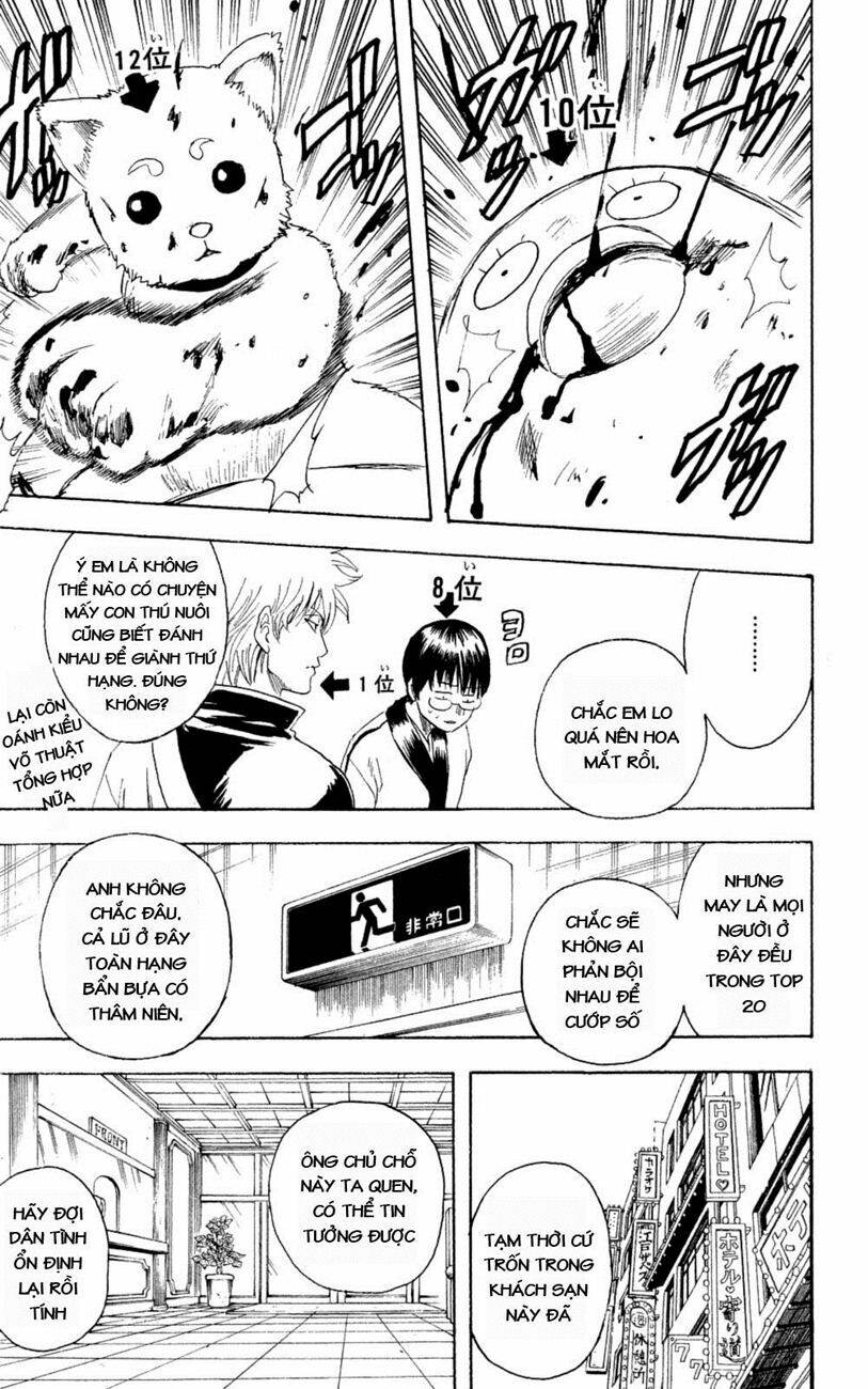 gintama - linh hồn bạc chapter 266 16