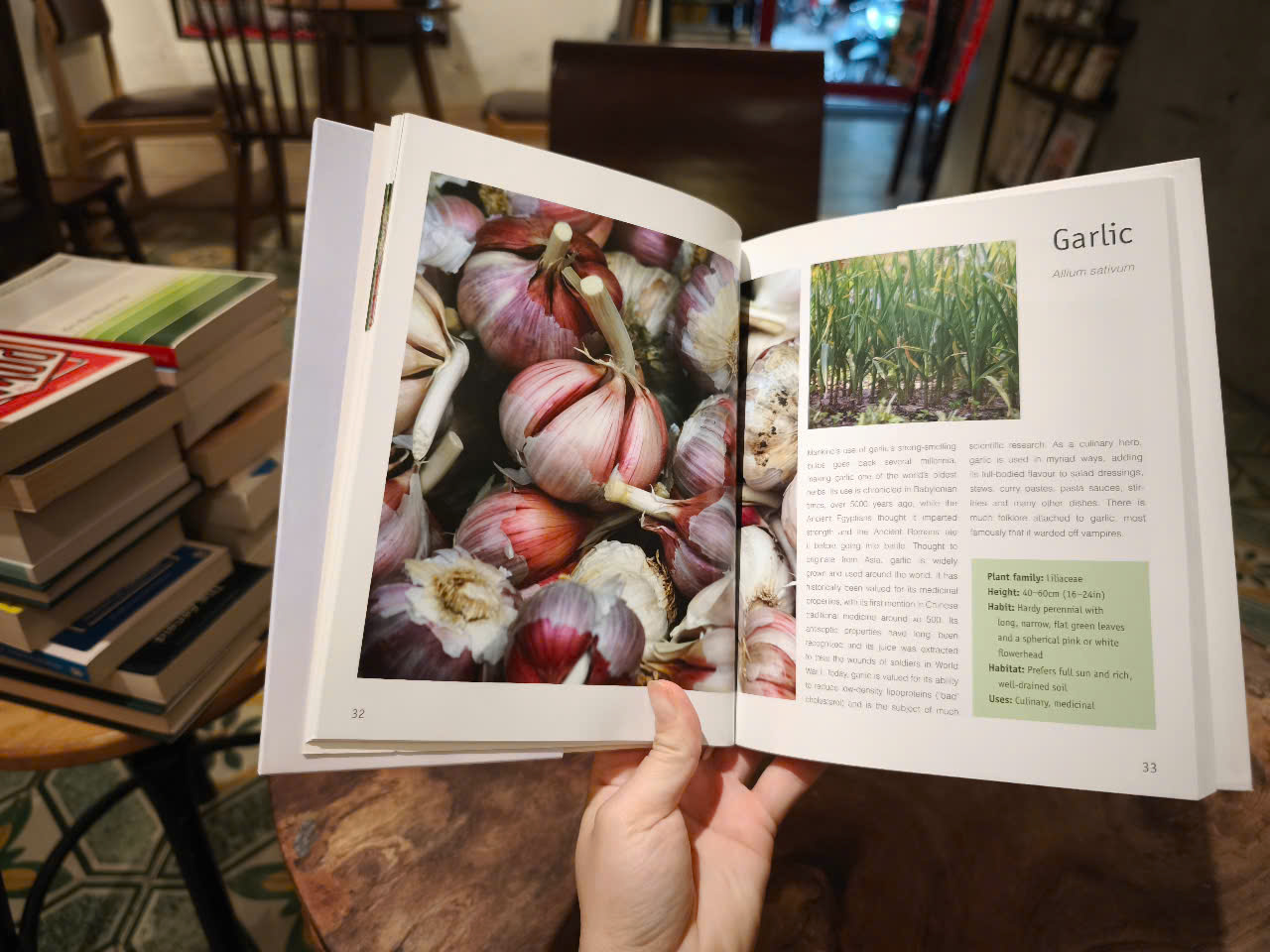 Sách - Guide to Herb With Journal by Jenny Linford - Sách tiếng Anh/ English Book - Sách về thảo Mộc - Medicine