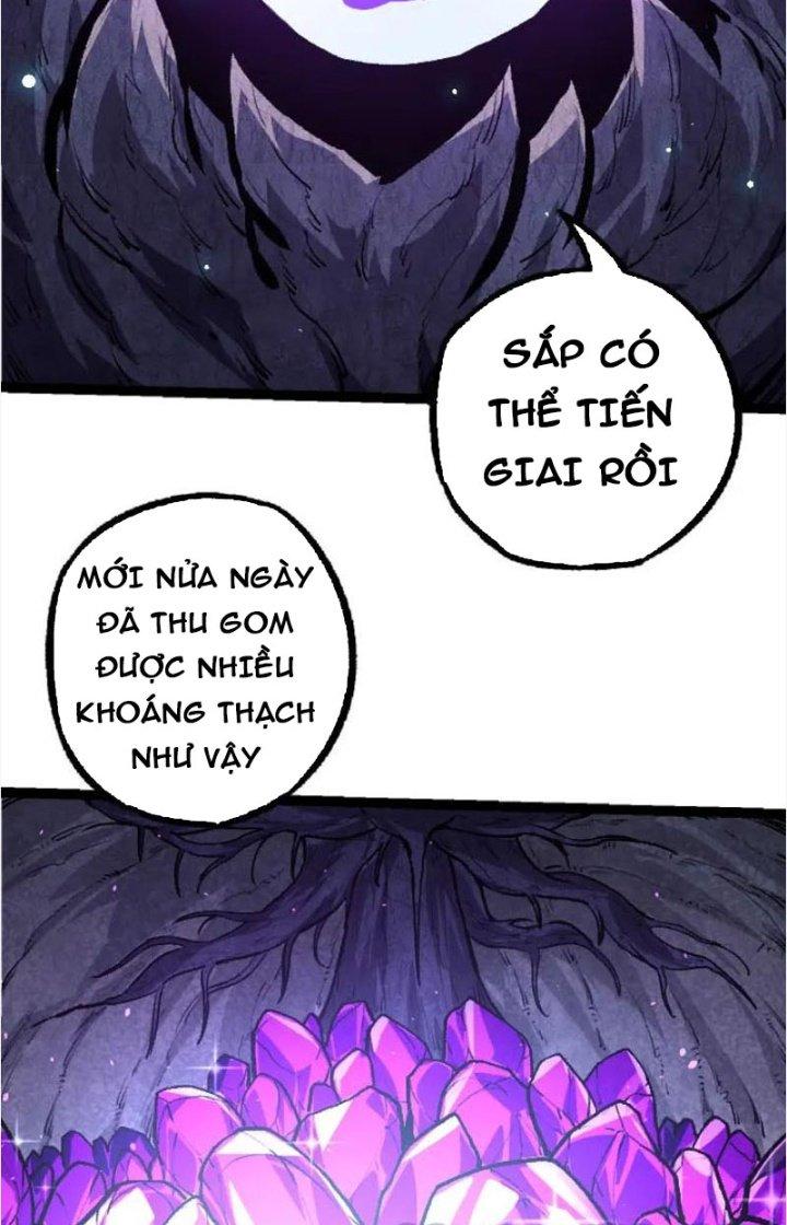 từ cây cổ thụ bắt đầu tiến hóa chapter 27 65