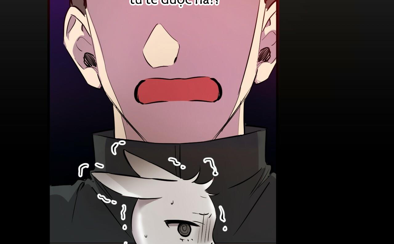 những chú thỏ của hapypy chapter 52 16