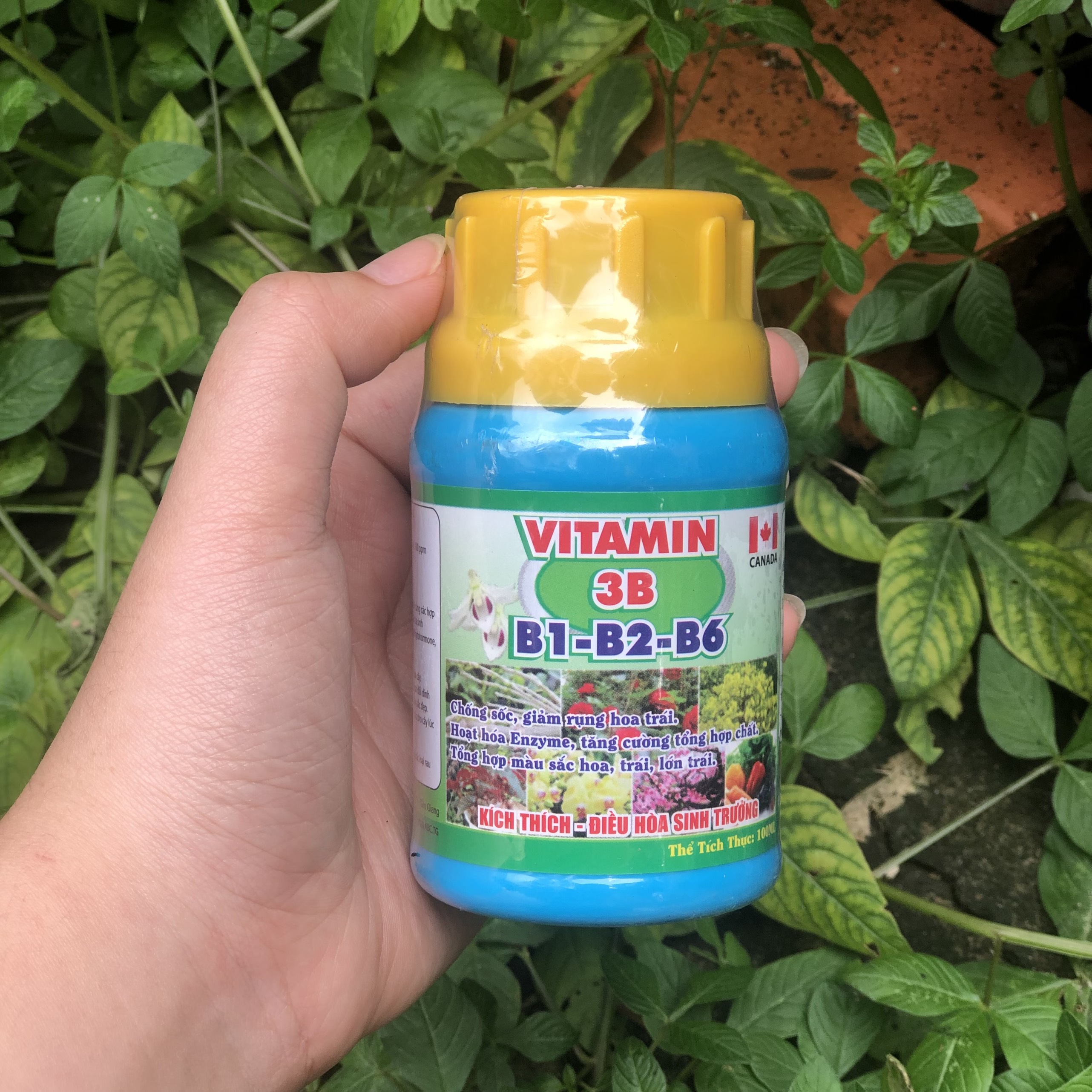 Vitamin 3B Chống sốc, giải độc, điều hòa sinh trưởng cho Lan và cây cảnh 100ml