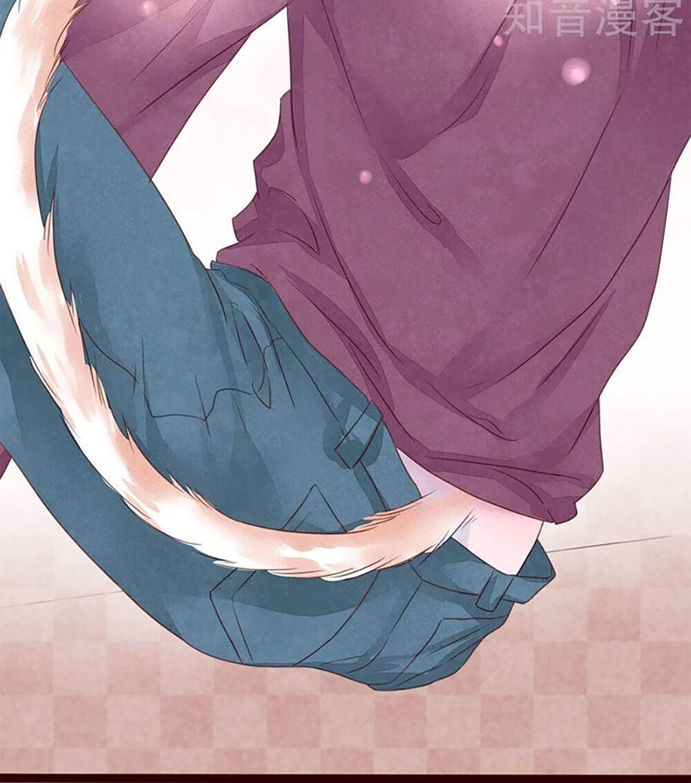 đào tạo nuôi dưỡng bạn trai mèo chapter 1 71