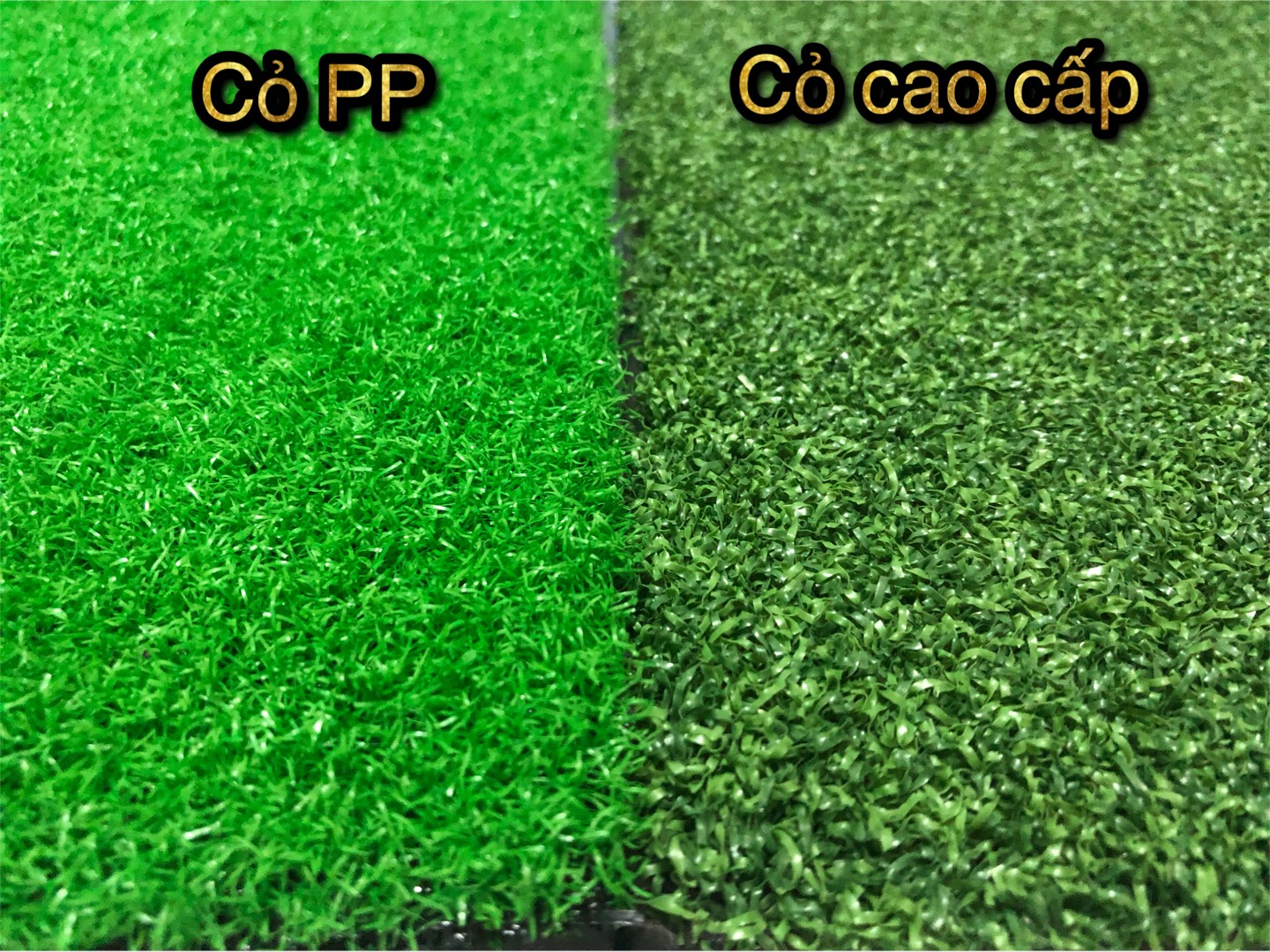 Thảm tập GOLF tại nhà tặng hộp 06 bóng tập chuyên dụng