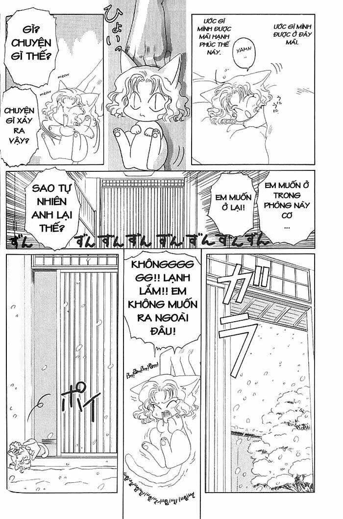 người mà tôi yêu chapter 8 4