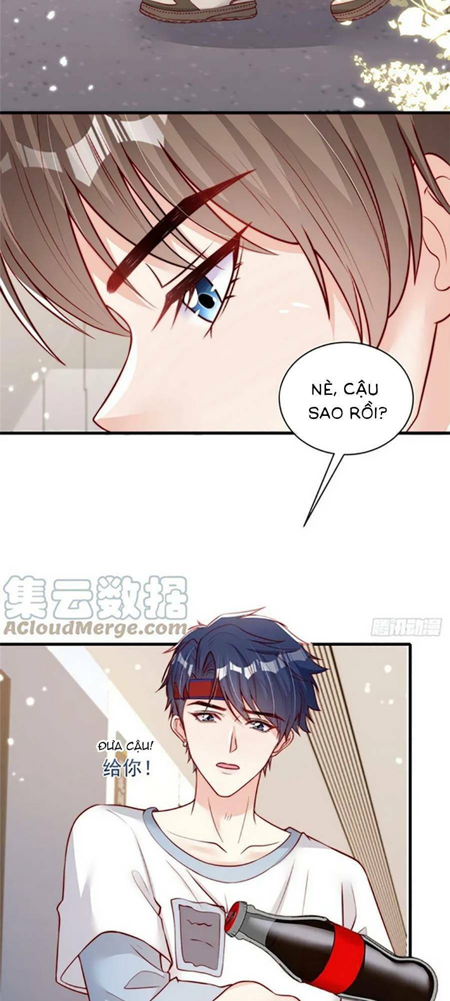 tôi được năm đại lão chiều chuộng hết nấc chapter 108 5