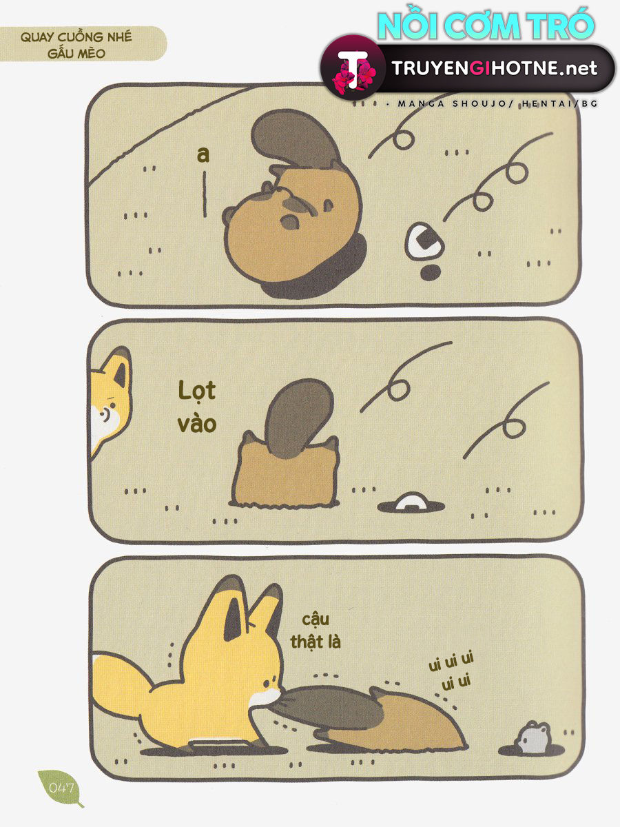 cáo và gấu mèo chapter 4 12