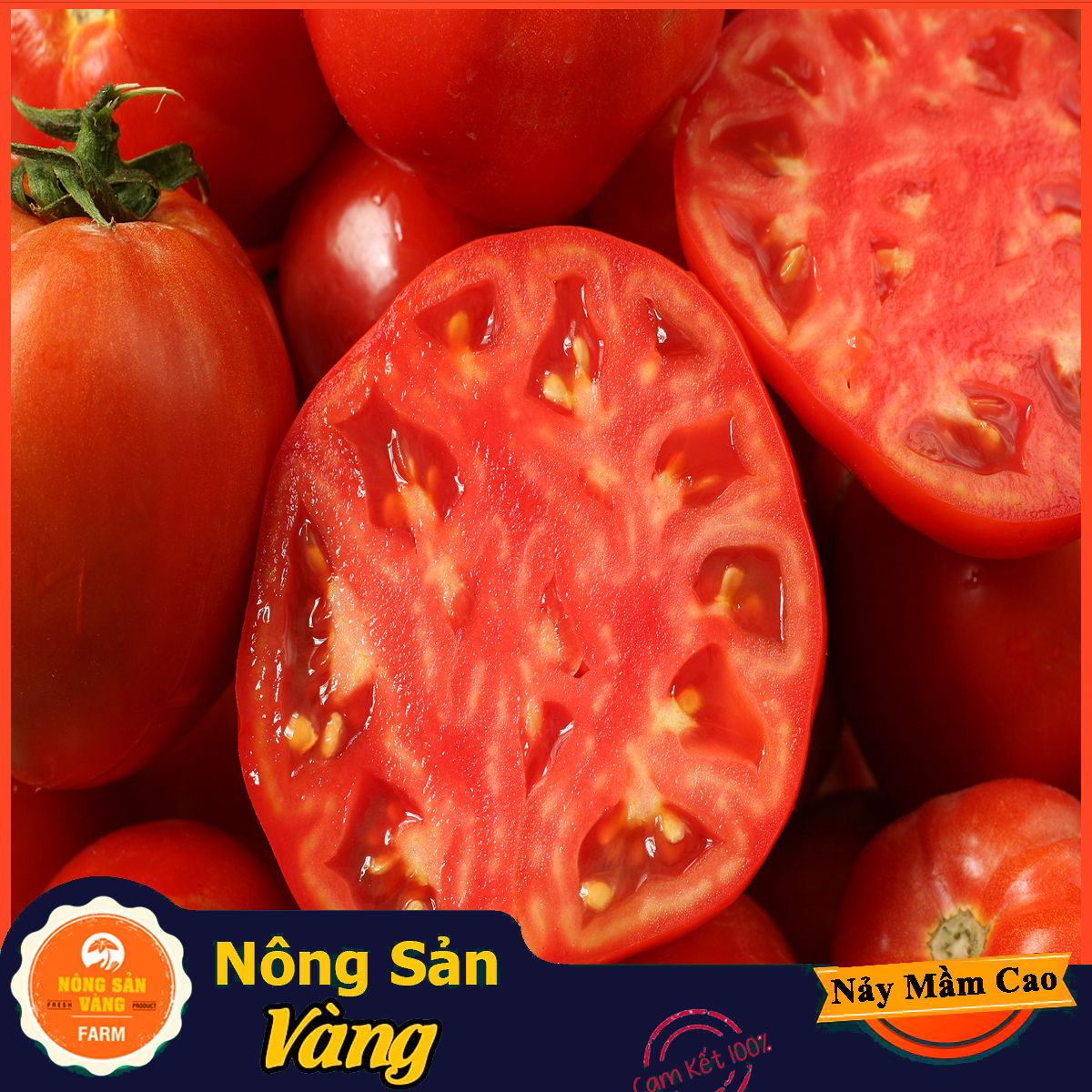 Hạt giống Cà Chua Đỏ Quả To F1 - Nông Sản Vàng