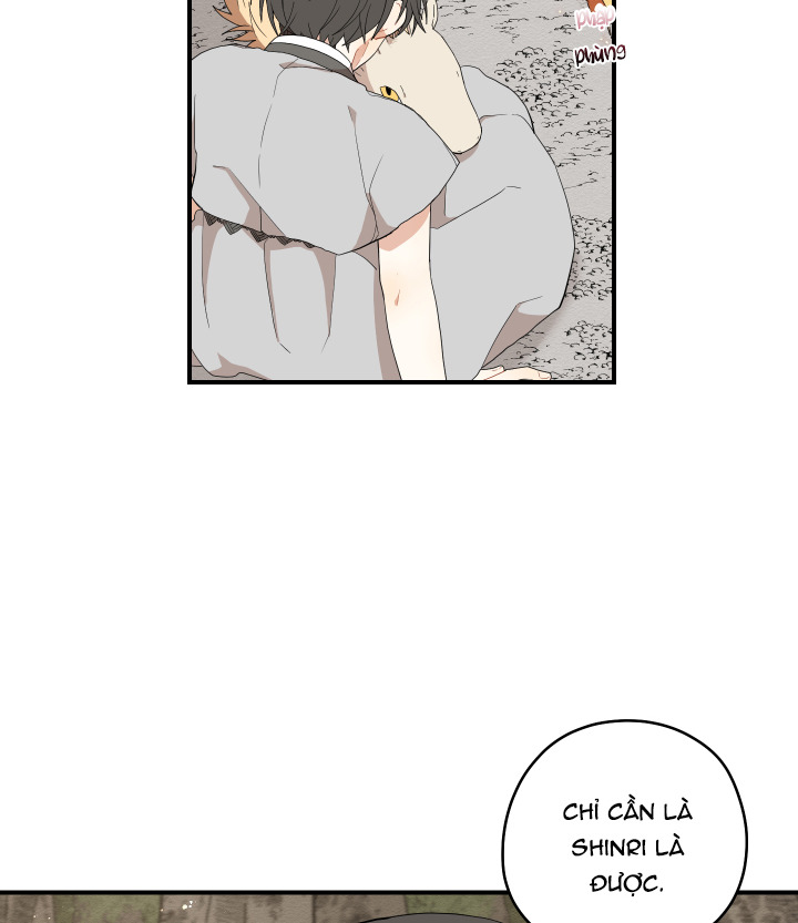 đường hoa liên kiều rơi chapter 20 70