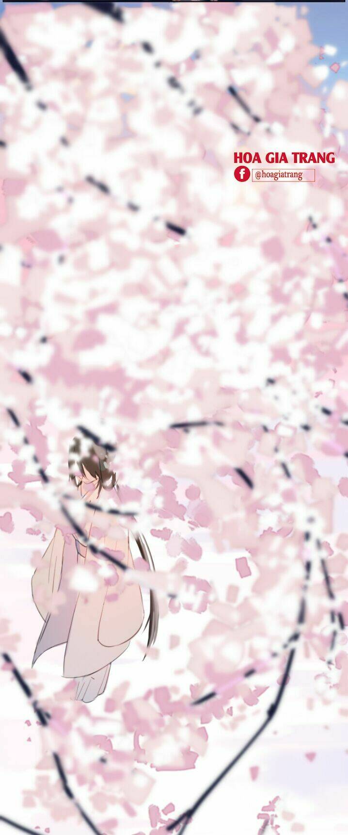 trần tình phú chapter 8 21