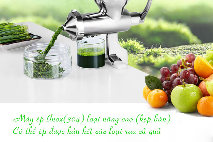 Máy ép chậm hoa quả và cỏ lúa mì inox 304