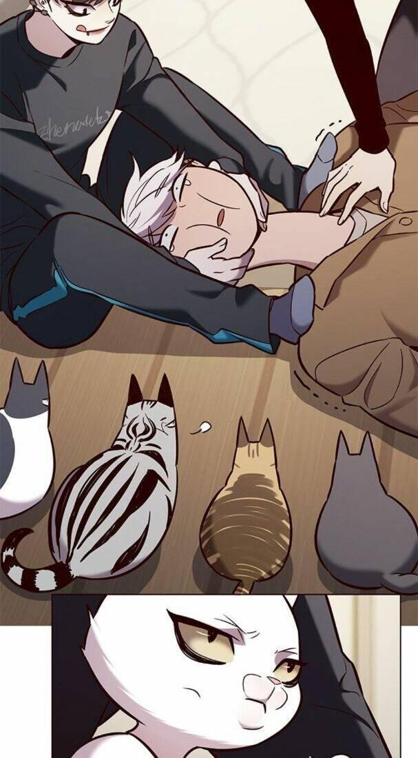 biến thân thành mèo chapter 178 23