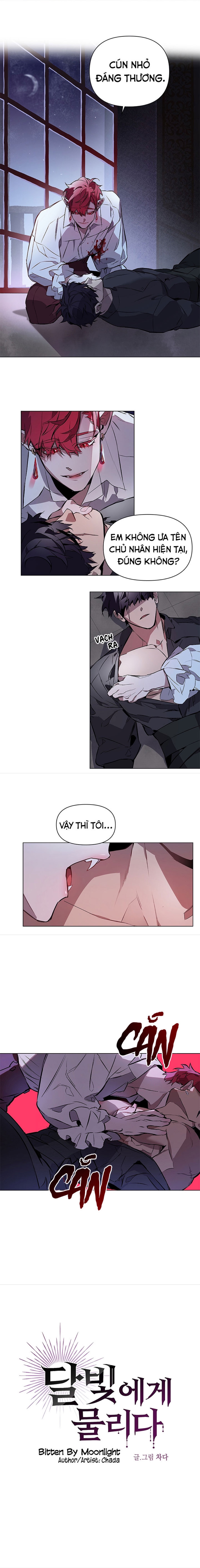 vết cắn sắc tình đêm trăng (full) chapter 4 2