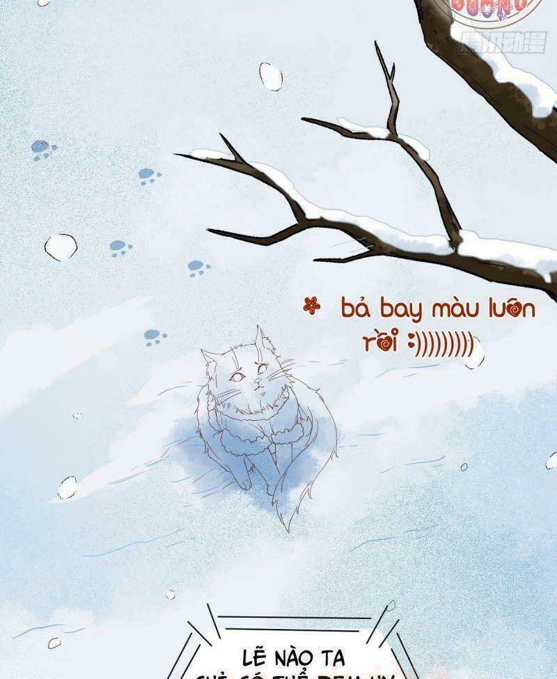 sát thủ vương phi không dễ chọc chapter 38 50