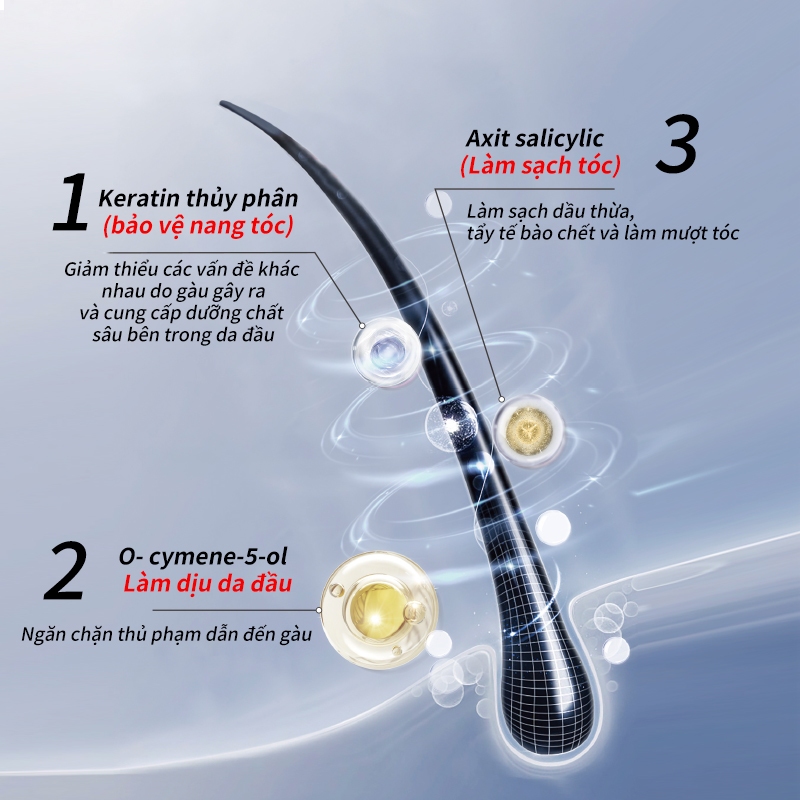 Dầu gội sạch gàu Pharma 21 Nhật Bản Dầu gội đầu chống gàu, sạch gàu &amp; hết ngứa da đầu - Chai 600ml