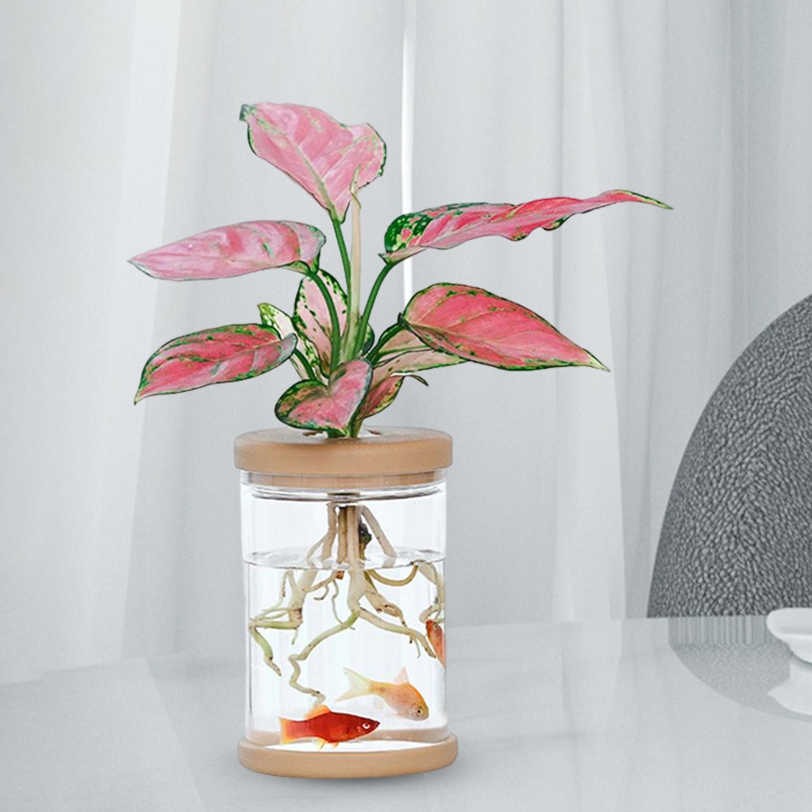 Tabletop   bookshelf ornament gift 9cmx12.8cm