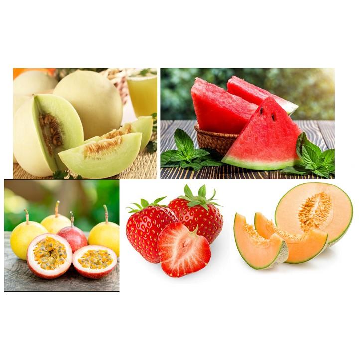 Combo Hạt giống 5 loại quả dễ trồng