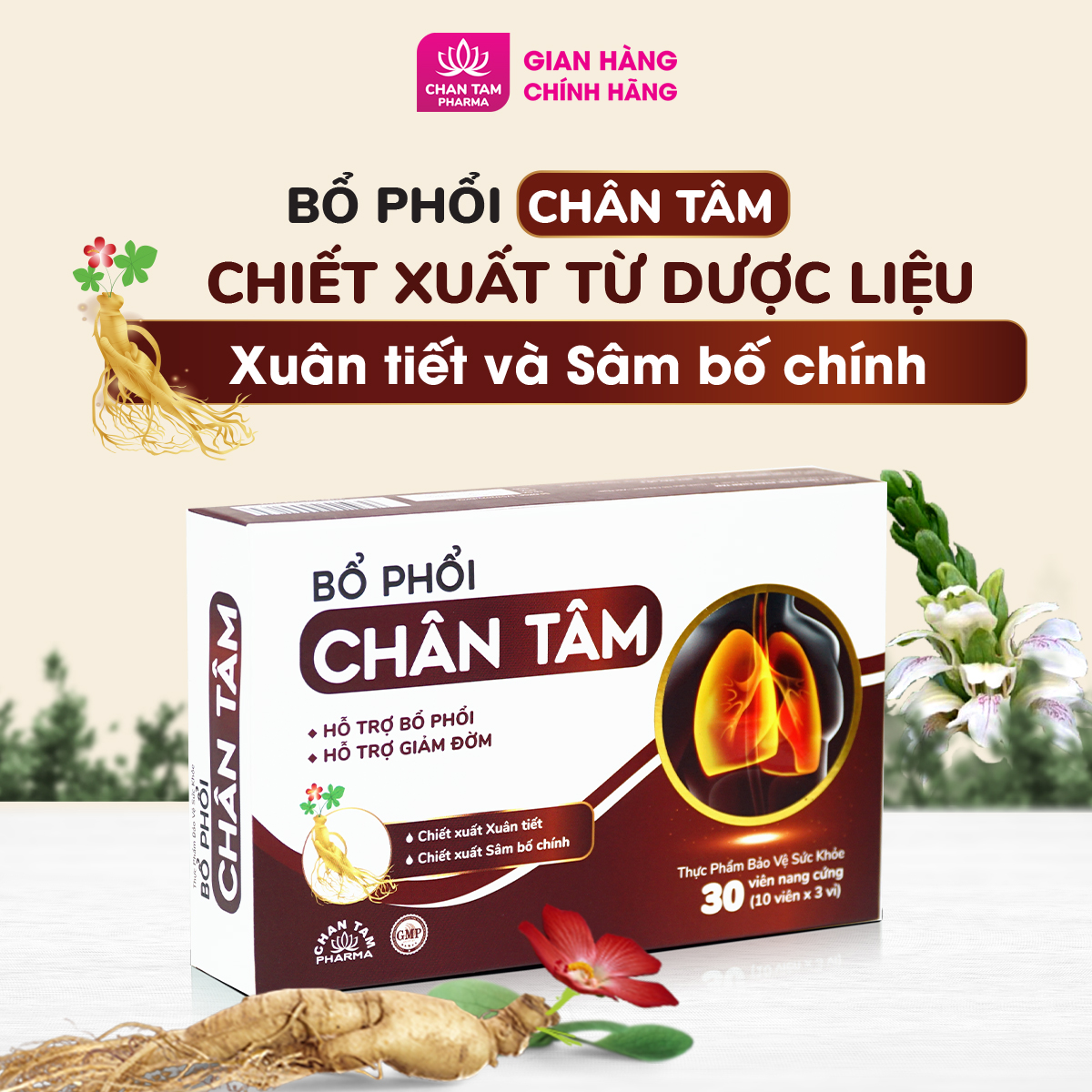 Viên uống bổ phổi Chân Tâm giảm ho, phục hồi chức năng phổi, tăng đề kháng hô hấp