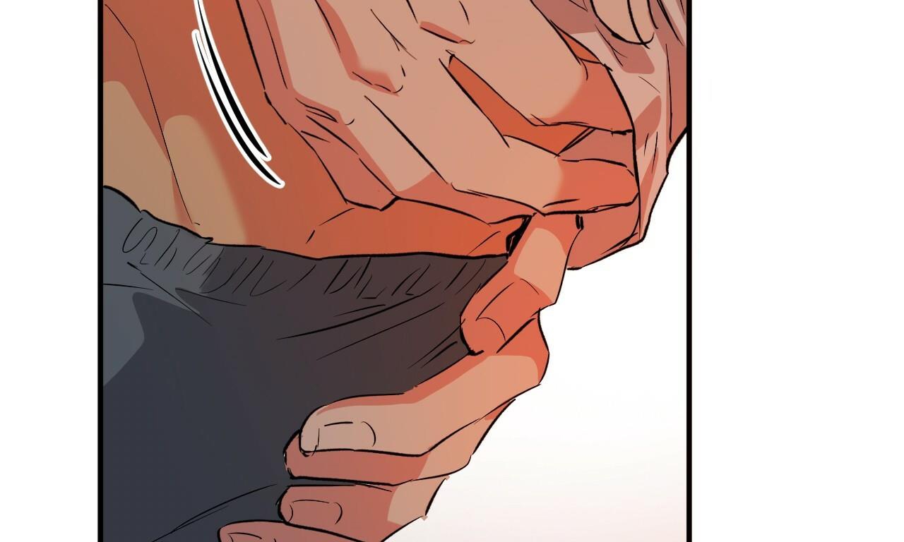 những chú thỏ của hapypy chapter 53 260