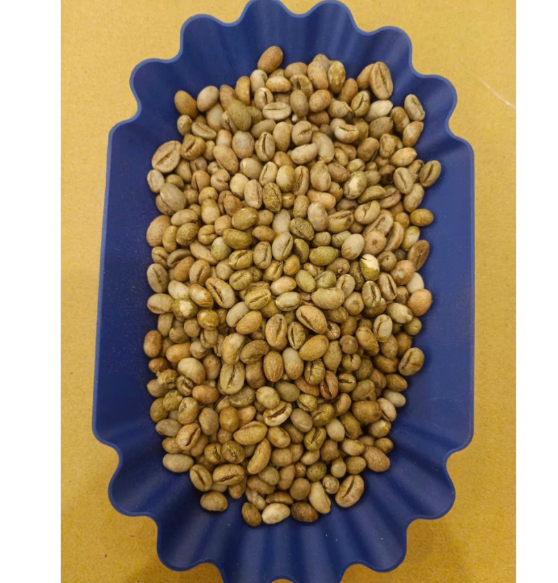 Cà phê nhân xanh CULI loại 1 B'Lao Farm peaberry cafe chưa rang sàng 18 đã được chà bóng băn màu sơ chế khô túi 1kg CX18