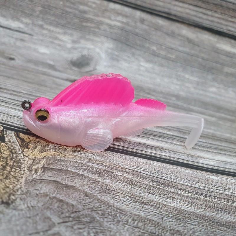 Cá giả thòi lòi mini