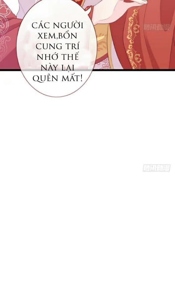 vương phi - âm động thiên hạ chapter 14 11