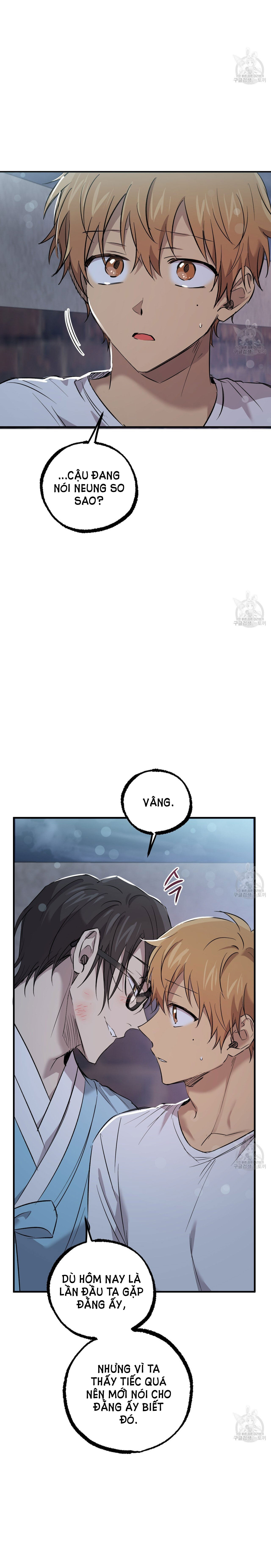 những chú thỏ của hapypy chapter 60.2 2