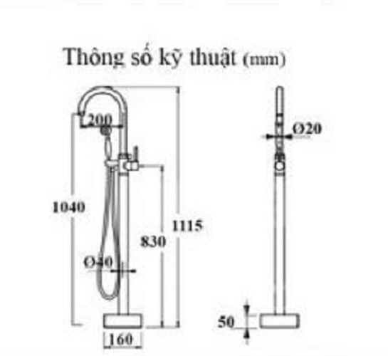 SEN BỒN CỔ ĐIỂN