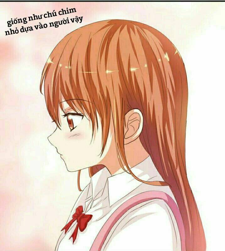 mối tình đầu có chút ngọt chapter 11 15