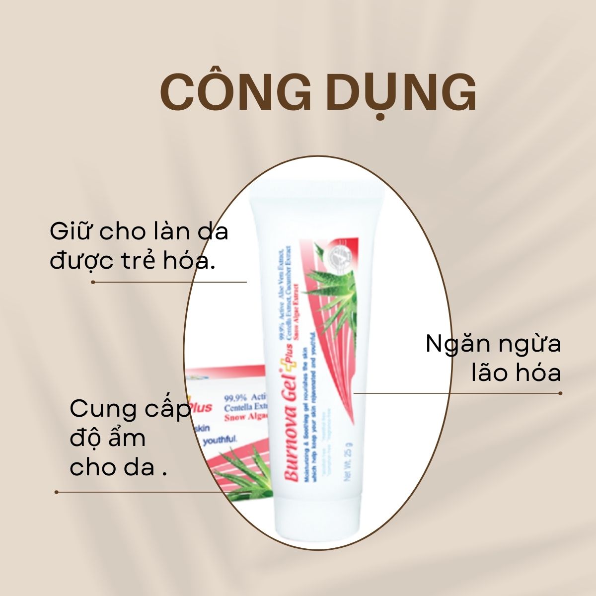 Gel dưỡng ẩm và làm mờ nếp nhăn Burnova Gel Plus Snow Algae cung cấp độ ẩm và giữ cho da được trẻ hóa 25g