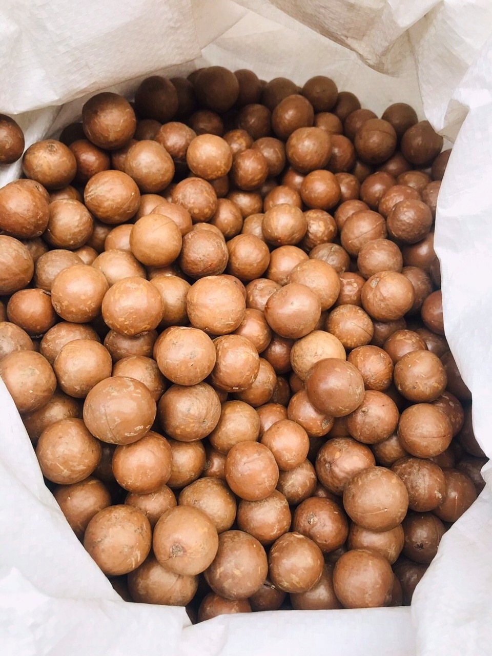 Nhân Hạt Macca Úc Hũ 150g - Thương Hiệu MFOOD