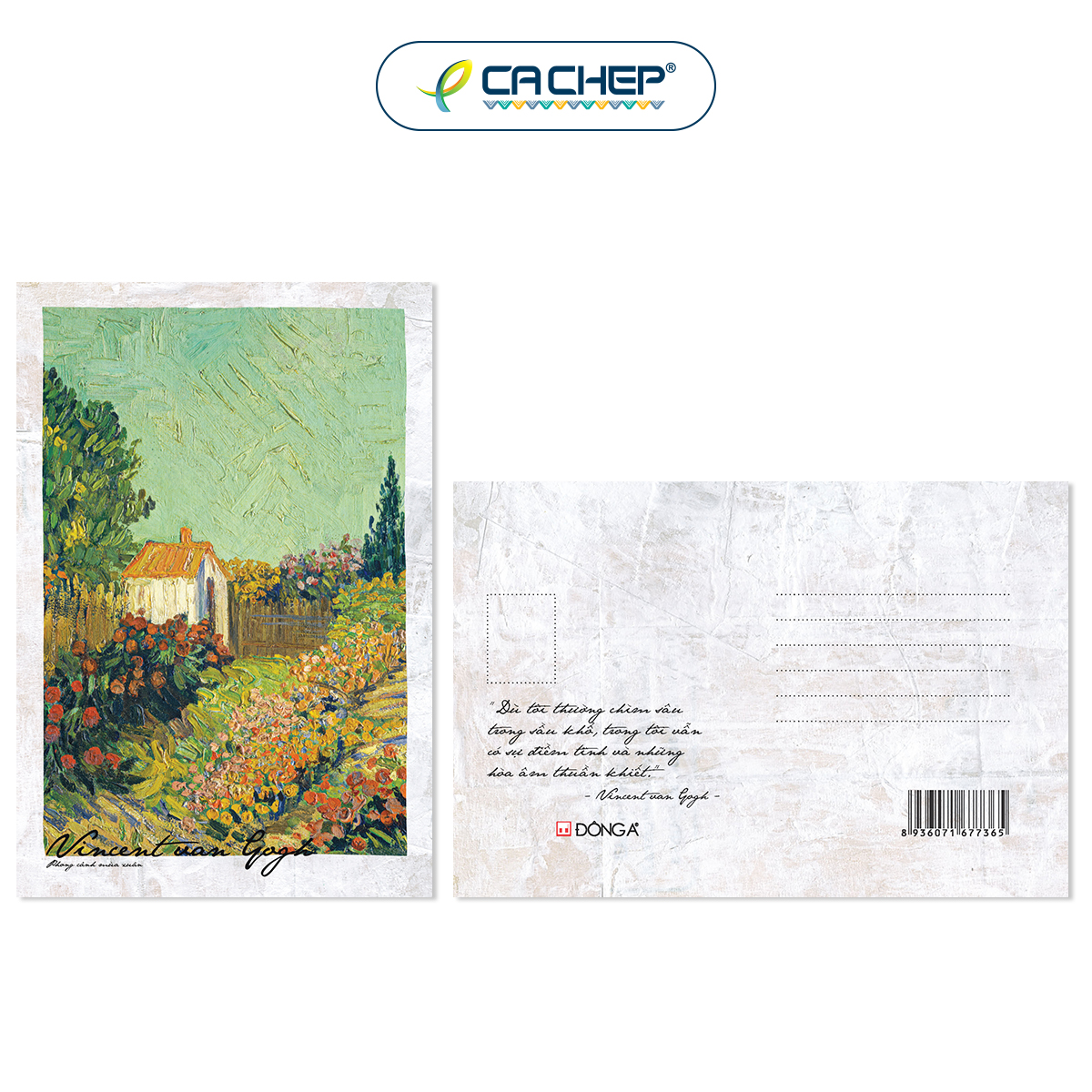 Combo 8 postcards Danh họa Van Gogh - Monet