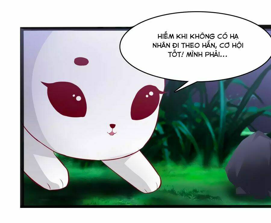 thỏ yêu tiểu vương phi chapter 35 25