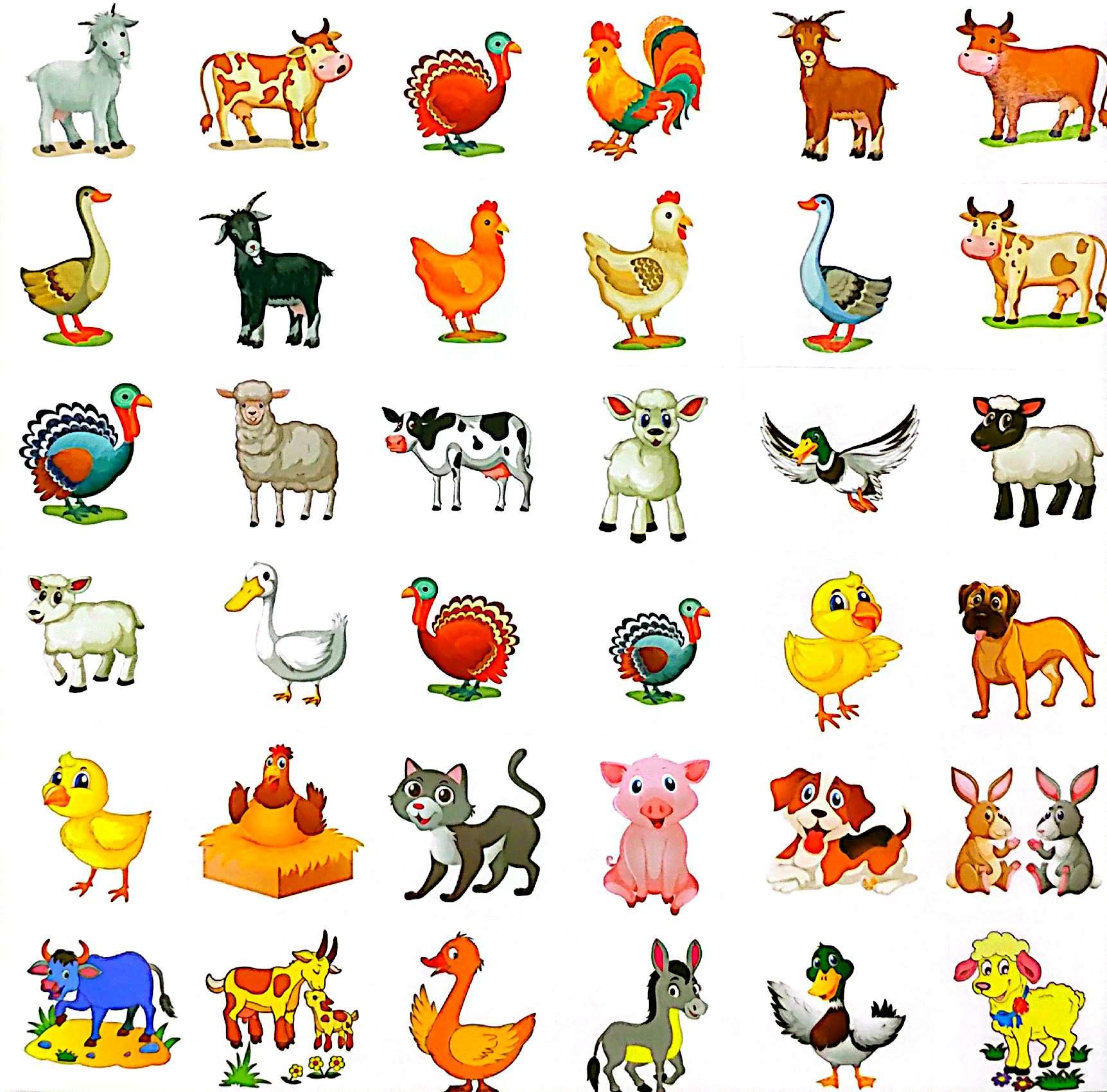 Sách - Bé Tô Màu Sáng Tạo - Động Vật Nuôi