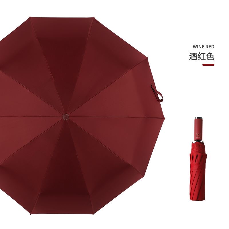 Ô tự động 2 chiều chống tia UV 10 nan